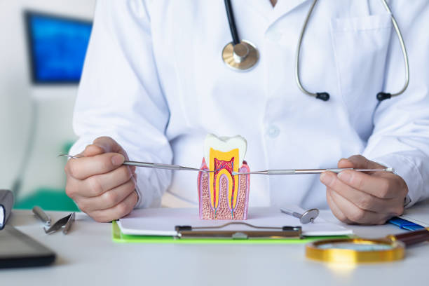 Best Emergency Broken Tooth Repair in Heritage Lake, IL
